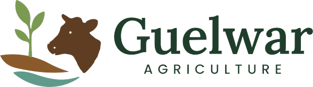 Guelwar Agriculture, retour à l'accueil